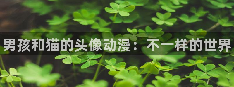 age动漫正版网