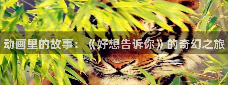 age动漫网官网入口