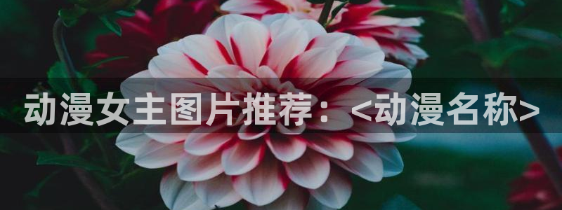 backstage韩漫免费观看：动漫女主图片推荐：<动漫名称>