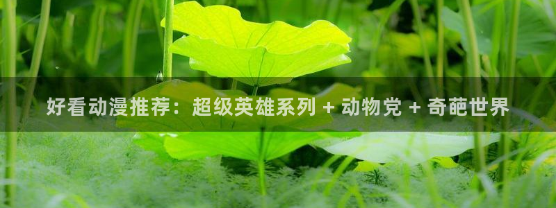 age动漫官网版入口：好看动漫推荐：超级英雄系列 + 动物党 + 奇葩世界