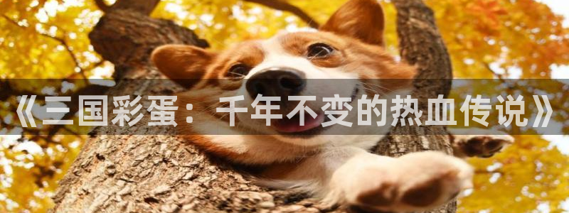 age动漫网下载：《三国彩蛋：千年不变的热血传说》