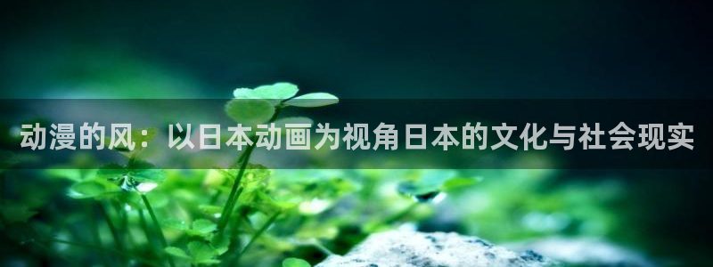 age动漫网官网入口：动漫的风：以日本动画为视角日本的文化与社会现实