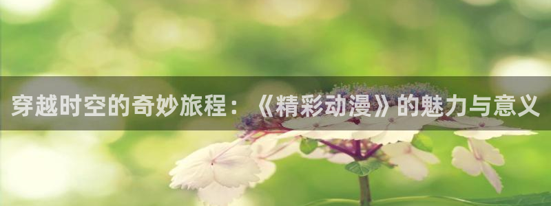 age动漫网官网入口：穿越时空的奇妙旅程：《精彩动漫》的魅力与意义