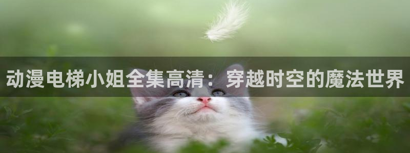 age动漫omofun：动漫电梯小姐全集高清：穿越时空的魔法世界