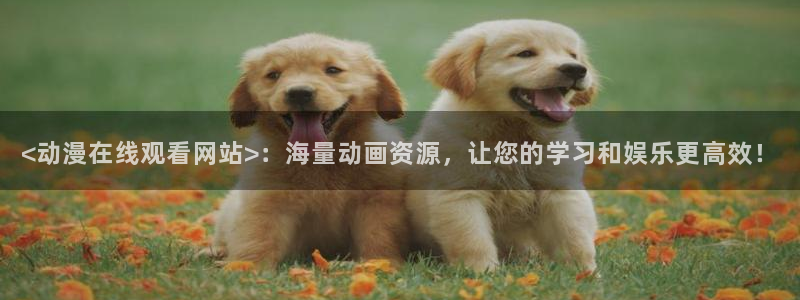 age动漫网官网入口：<动漫在线观看网站>：海量动画资源，让您的学习和娱乐更高效！