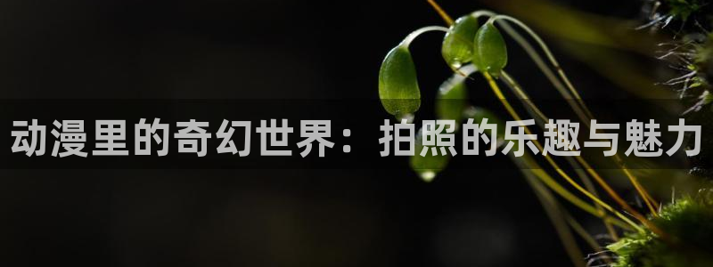 age动漫