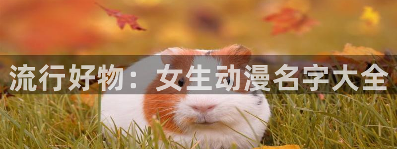 colamanage漫画官网
