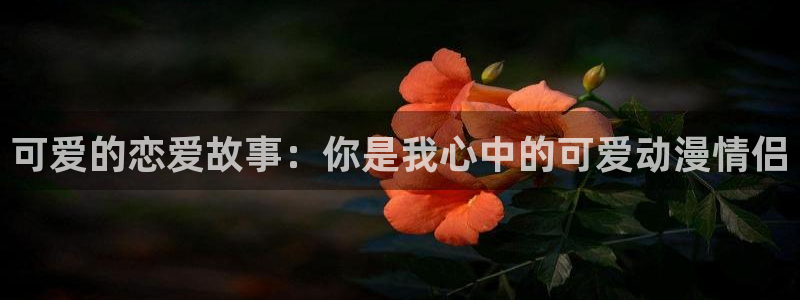 age动漫正版网
