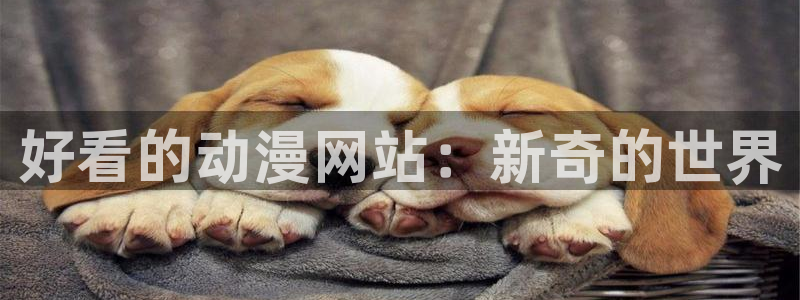 age动漫下载动漫全免费
