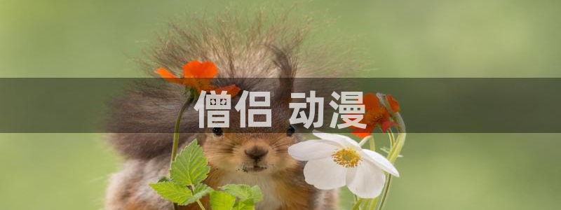 age动漫网官网入口