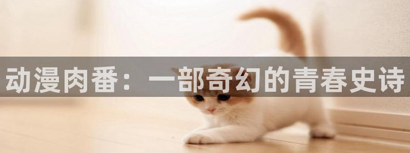 age动漫网
