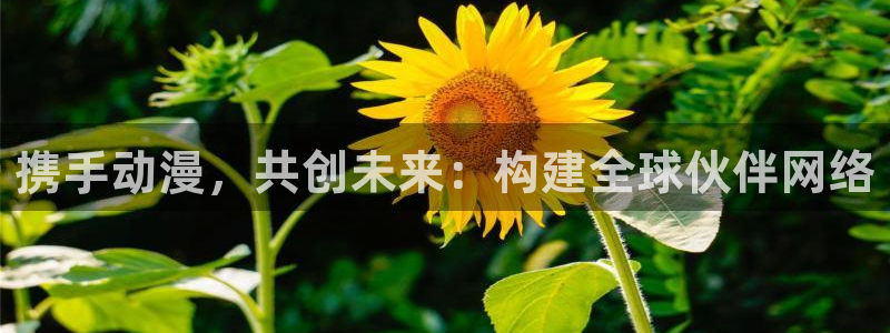 age动漫官网入口老版本