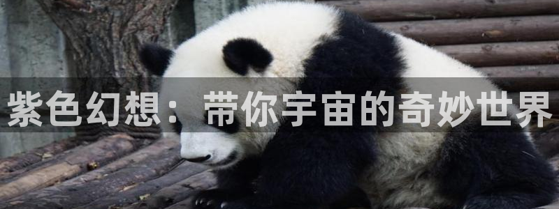 age动漫官网版入口：紫色幻想：带你宇宙的奇妙世界
