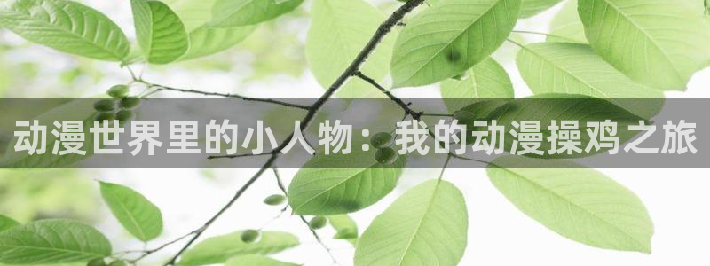 在线动画动漫下载age动漫：动漫世界里的小人物：我的动漫操鸡之旅