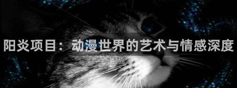 age动漫专注动漫的门户网站：阳炎项目：动漫世界的艺术与情感深度